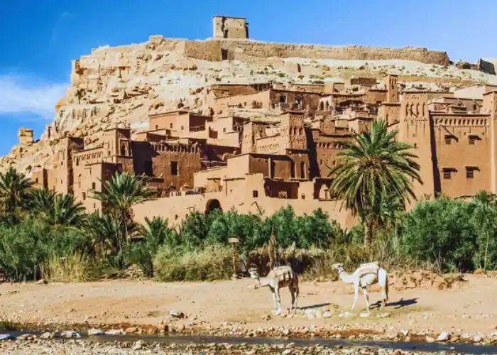 8 Days Tour From Tangier To Marrakech